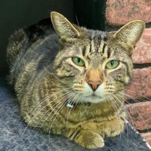 91e221d2-b658-4335-8614-33603decf058