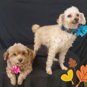 20211116_111001-copy