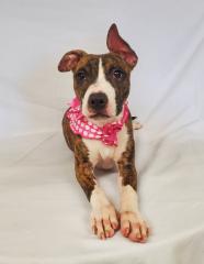 271392211_4720809487967837_8454378870602948252_n