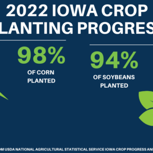 planting-progress-june-6-2022-06-07-22