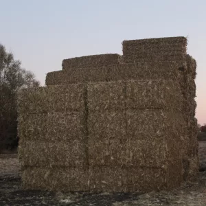 stock-bails-nevada-ffa