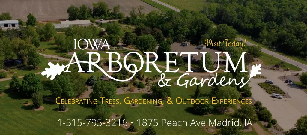 Treehouse Village in Boone County to Open this Spring - Vimarsana News