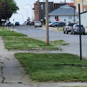 grass-on-roadway