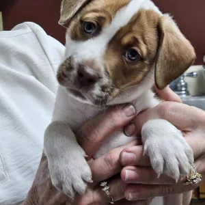 441930516_431525682973285_1523877009979681177_n