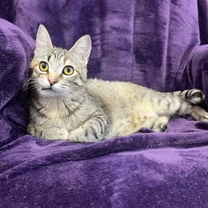 448510296_1485300819026363_3438580062591756818_n