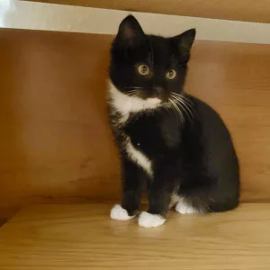 448719108_817924110271936_2977806062313292153_n