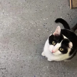 449083107_1018404153023808_1467797469839243018_n