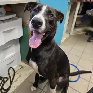 456953243_1029861838637876_657598193380240379_n