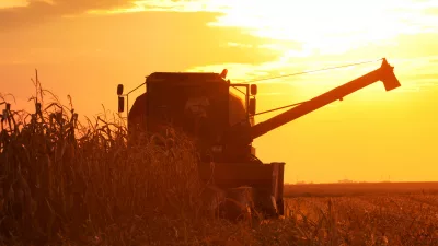 combine-operator-harvesting-corn-on-the-field-in-summer-evening
