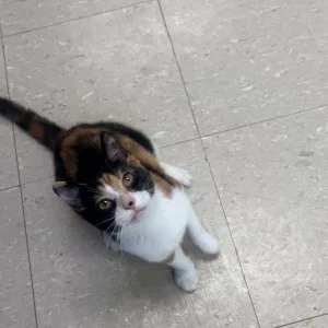 459725435_517198744254875_177372134033608447_n