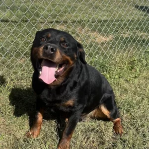 7f42384f-628b-472d-8267-0bd12fb0bfd7