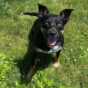 85e64102-e407-4267-acf3-2815d4b9b812