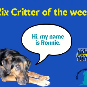 472630974_894435359193951_2954497167411238139_n