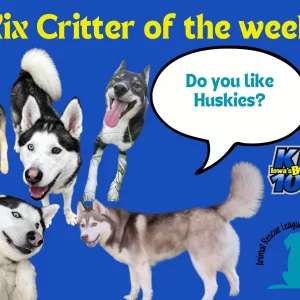 473647311_1115057700111784_5819171483910549267_n