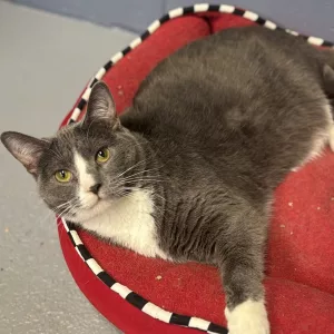 476498062_1198659205592972_4157484653650000112_n