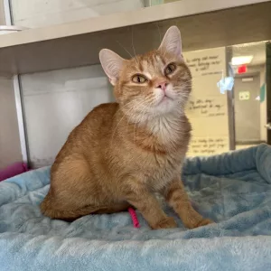 476485244_628748466469126_1246671302731815682_n