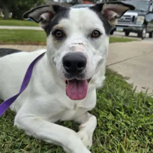 9342b8e3-1d15-4246-b3db-b6bf01ea62bc