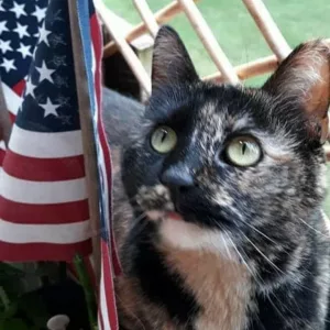 240654204_1982148398605205_1552294904129811275_n