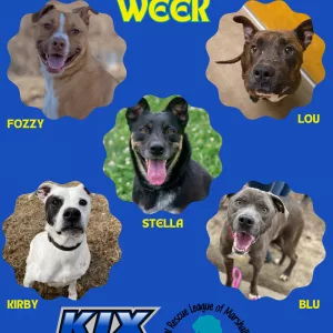 kix-critter-of-the-week-2