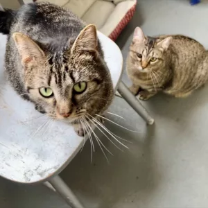 processed-823a80dd-16ec-400c-91c8-7c07fd3ddb24