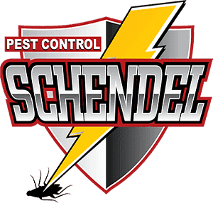 schendel-pest-control