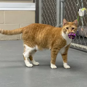 7864ddd2ff31f871919e36ab0354fceb