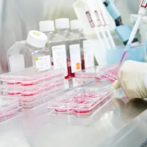 medical-chemistry-biomedicine-experiment