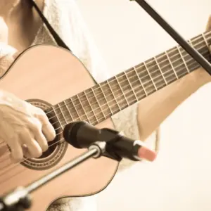 Woman with guitar/toned photo