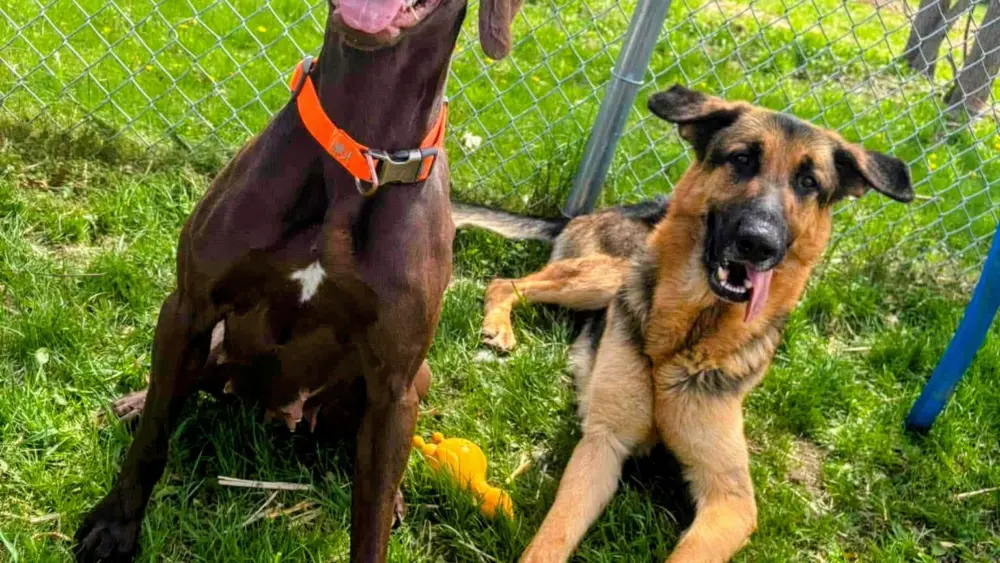 3493139f-1788-40d1-9b92-b7154616b29b1