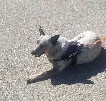 20200613_16330627774