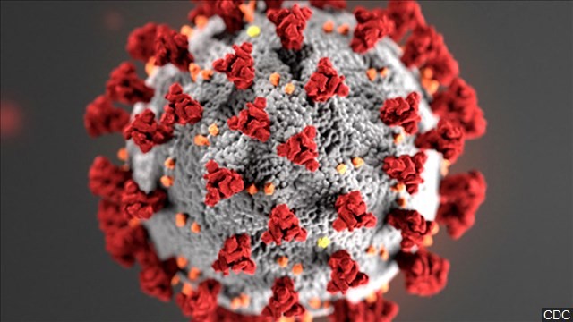 coronavirus11