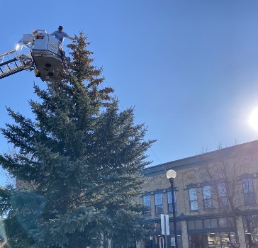 rotary-tree-lighting-far