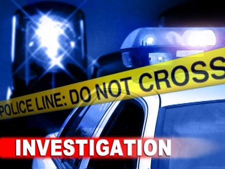 police-storylogo-2