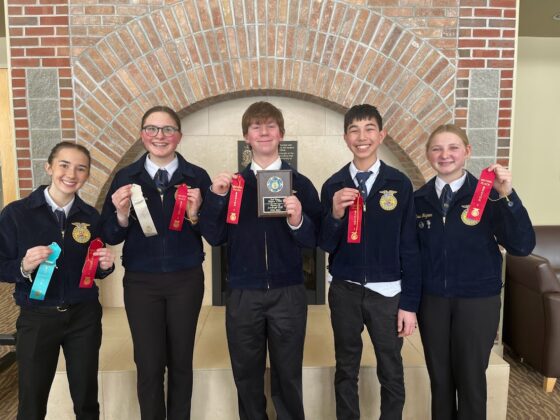 nursery-landscape-560x420357216-1