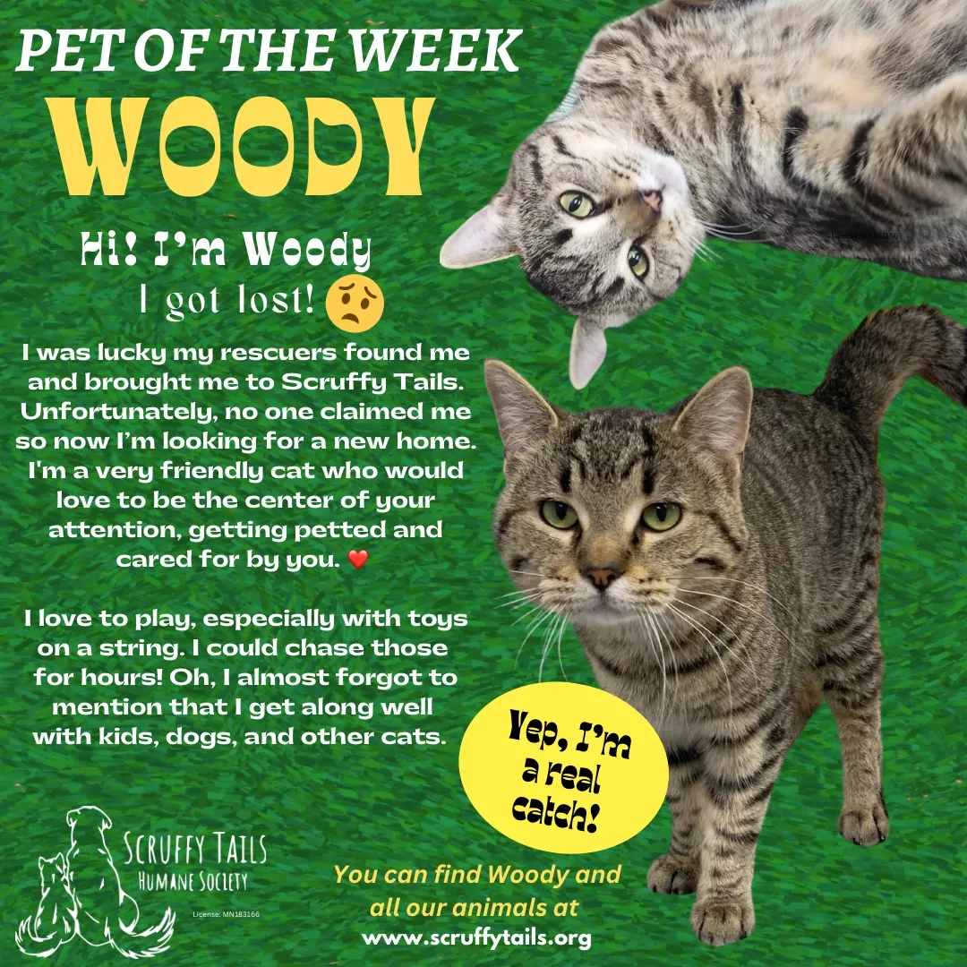 pet_of_the_week_woody622436