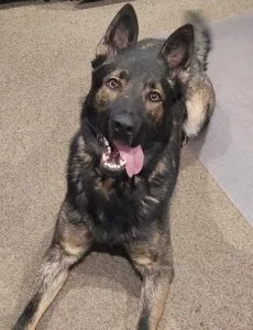 406361168_653643053609143_8209288594088680834_n-e1701208006951326708