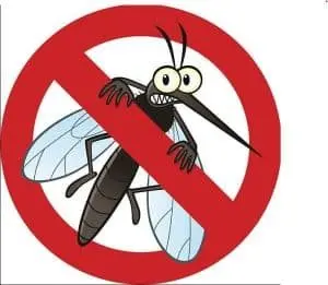 mosquito-e1689093663888188044