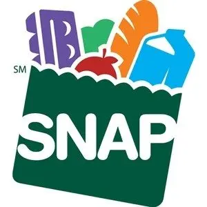 snap833595