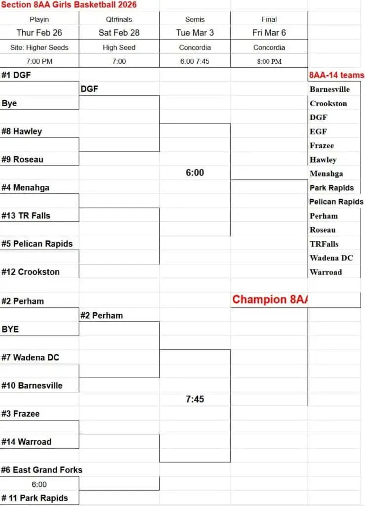 20268aagirls-740x1024570896-1