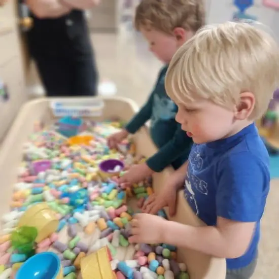 family-festival801551