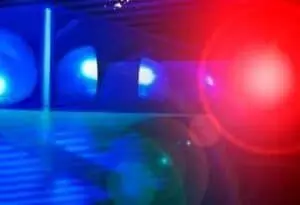 police-324x221-1-300x205-18511