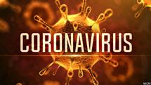 ingestor_03-25-2020-19-53-59_coronavirus-pic