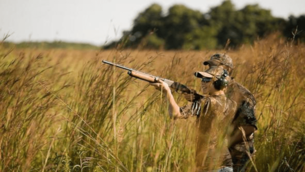 ingestor_04-09-2020-13-53-22_mdc-dove-hunting