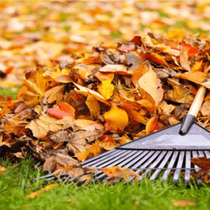 ingestor_04-09-2020-22-54-00_yard-waste-leaves-autumn-work