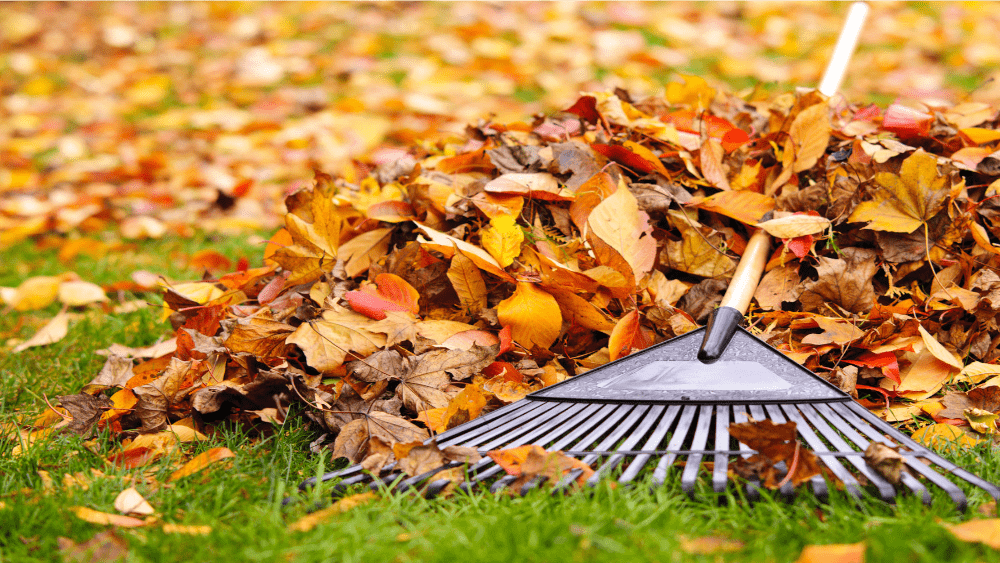 ingestor_04-09-2020-22-54-00_yard-waste-leaves-autumn-work