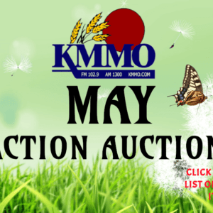ingestor_05-08-2020-22-51-36_may-20-auction