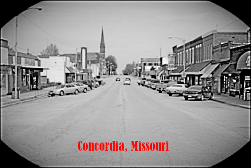 ingestor_06-15-2020-13-49-43_concordia-main-street