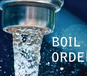ingestor_06-25-2020-19-53-19_boil-order
