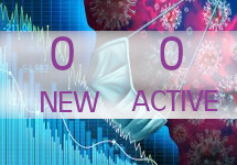 ingestor_08-02-2020-13-46-50_zero-new-zero-active
