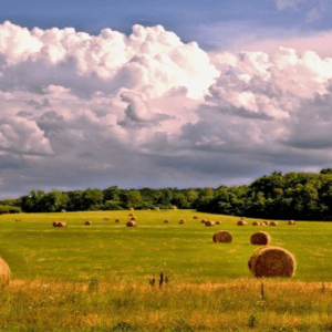 rural-weather-sunshine-farm